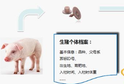 生豬RFID溯源管理系統(tǒng)軟件