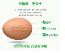 雞蛋可溯源印刷包裝制作