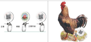 家禽飼養(yǎng)二維碼溯源系統(tǒng)軟件